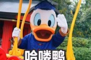 娱乐吃瓜君鸭,揭秘娱乐圈那些不为人知的幕后故事